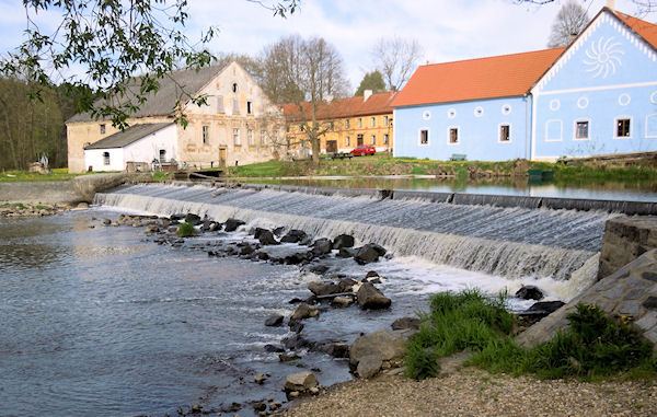 Krkavec Krkavec