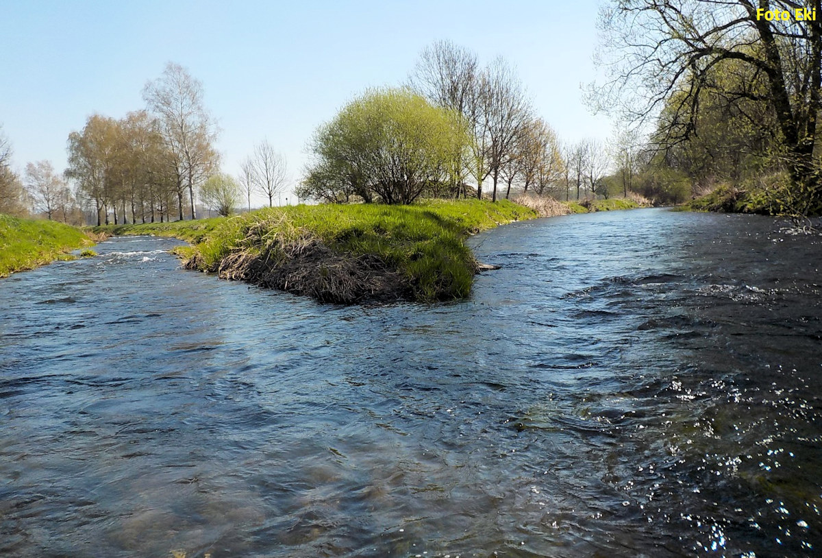 rkm 12,2 Přítok Bělá rkm 12,2 Přítok Bělá