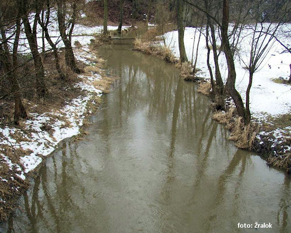 Zárybničná Lhota