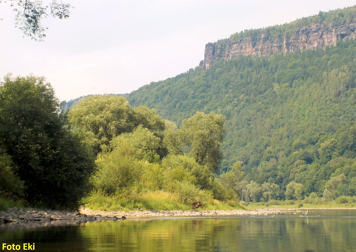 rkm 734 Pod Děčínem rkm 734 Pod Děčínem