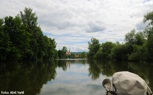 rkm 37,6 Radonice rkm 37,6 Radonice
