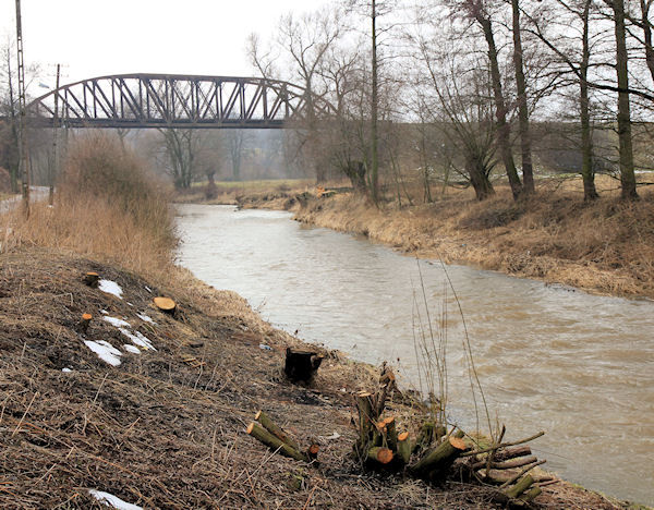 Stěnava za hranicemi