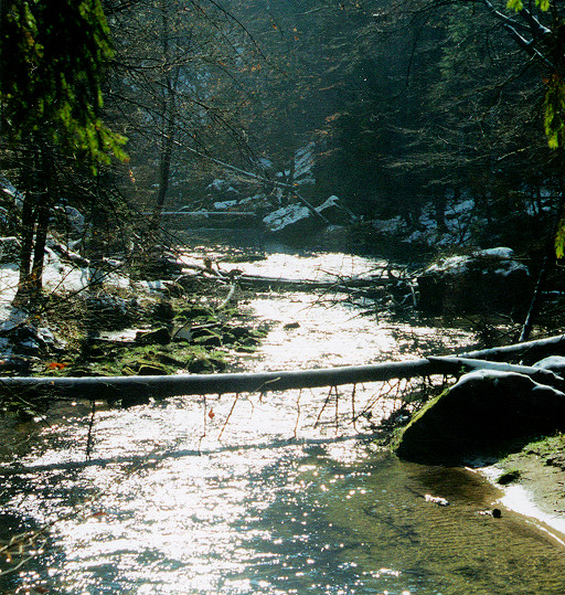 Hřenská Kamenice