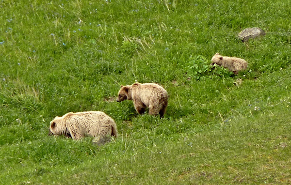 Fotografie z knihy Na sever