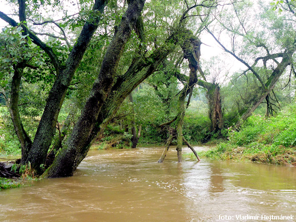 Meandry pod Balinami – Balinský Amazonas. Nedej Bůh, abyste museli přenášet.