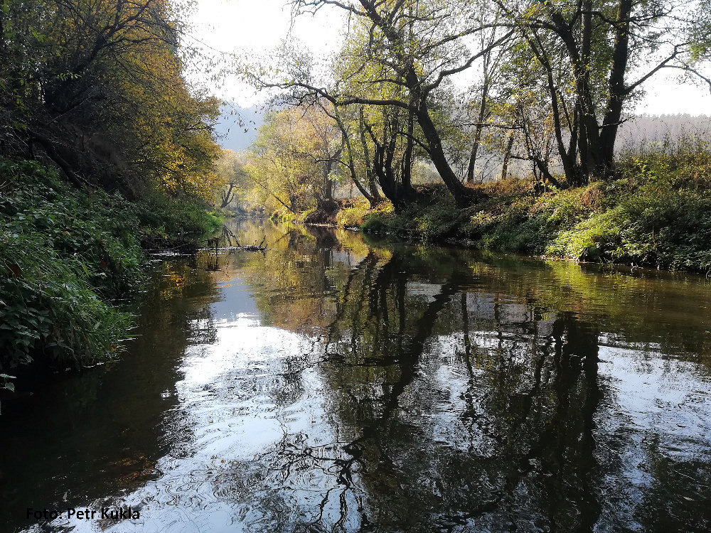 rkm 115,0 Za Číchovem rkm 115,0 Za Číchovem