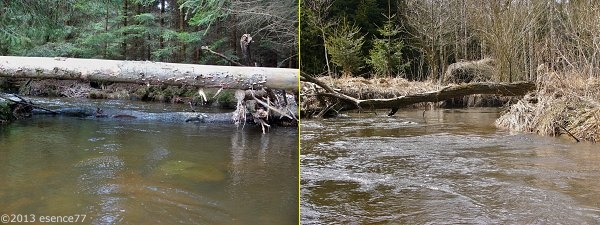 Nad Křižánky řeku kříží stromy a větve Nad Křižánky řeku kříží stromy a větve