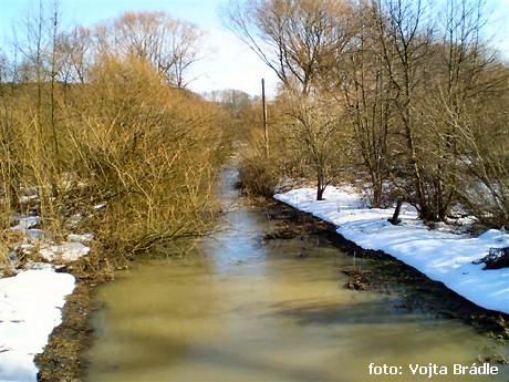 U Svobodína U Svobodína