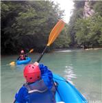 Mrežnica pod Primišlje