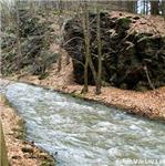 Údolí Janského potoka 