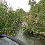 Mrlina pod mostem Havransko v červnu 2025