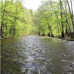 Pod Slatinou, vodočet Slatina, stav: 67 cm, 13.8 m3/s
