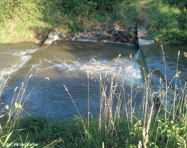 Betonové nízké stupínky Betonové nízké stupínky