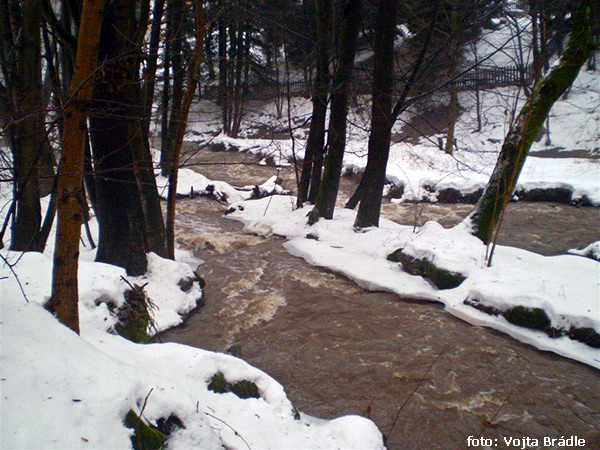 Borovnický potok Borovnický potok