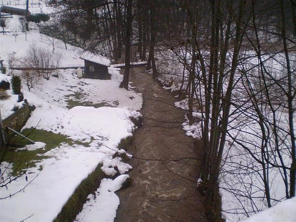 Borovnický potok Borovnický potok