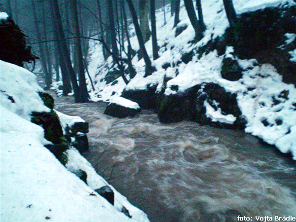 Borovnický potok Borovnický potok