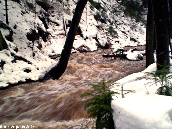 Borovnický potok Borovnický potok