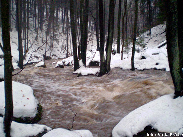 Borovnický potok Borovnický potok