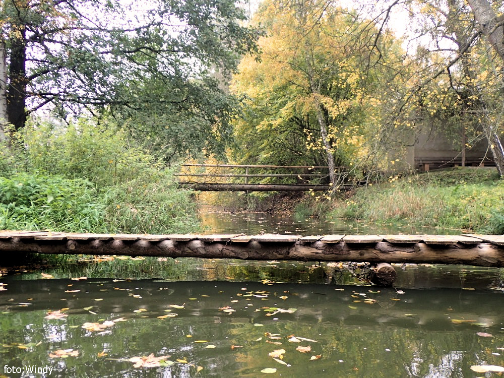 Před Jarošovem Před Jarošovem