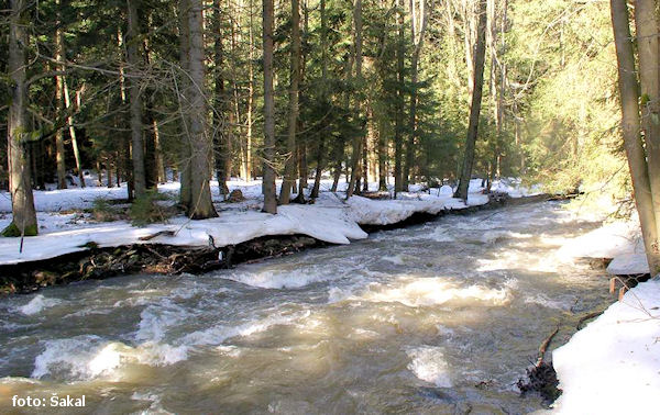 U Rozštípené skály U Rozštípené skály