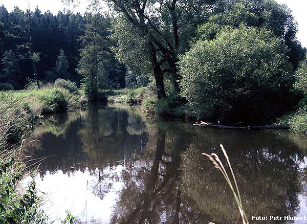 Smutná nad Srlínem