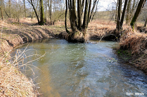 Jeden z mála vracáků Jeden z mála vracáků