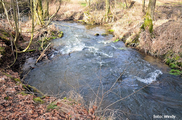 Malá peřejka Malá peřejka