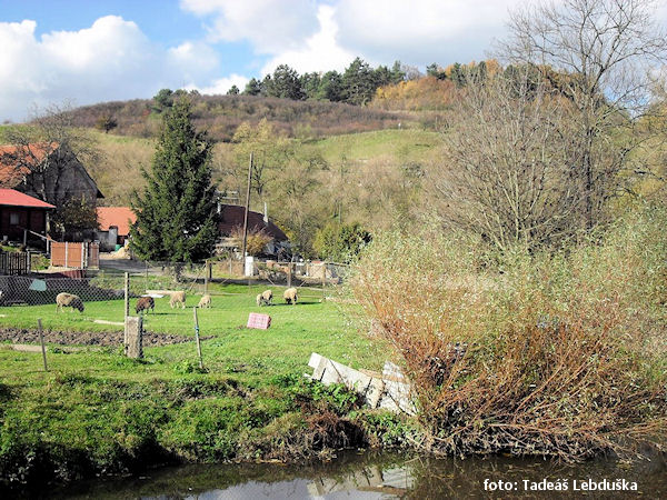 Hradiště Na šancích