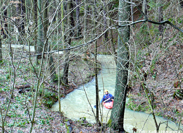 Zbožnovský potok