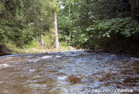 Zlaty potok