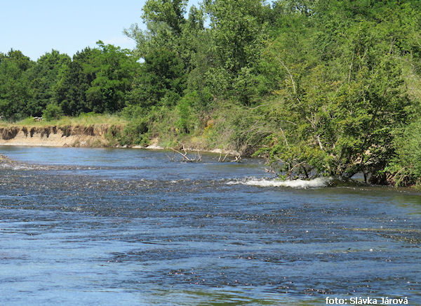 Mezi Brioude a Issoire Mezi Brioude a Issoire