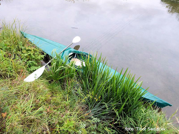 První plavba První plavba