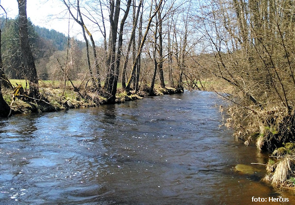 Na startu u mostu na Furth