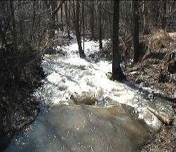 Janovicky potok Janovicky potok