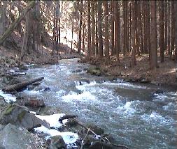 Konopistsky potok Konopistsky potok