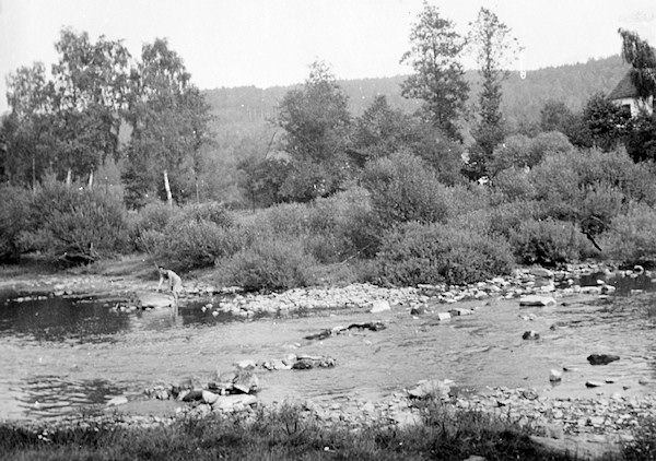 Historická fotografie Mže Historická fotografie Mže