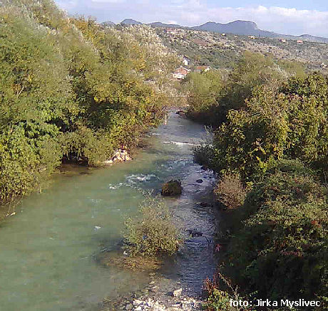 Ribnica Ribnica