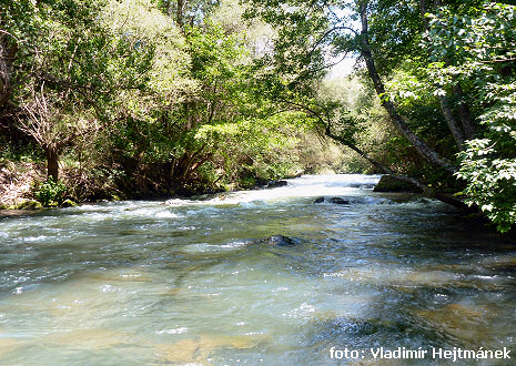 Bregalnica pod elektrárnou Kalimani Bregalnica pod elektrárnou Kalimani