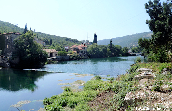 Dubrovačka Dubrovačka