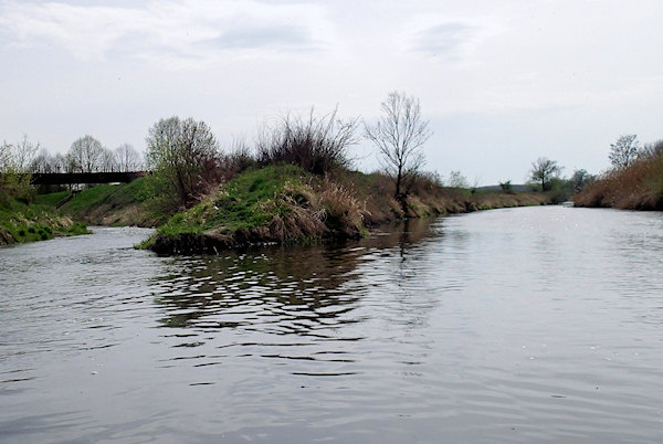 Soutok s řekou Dyje