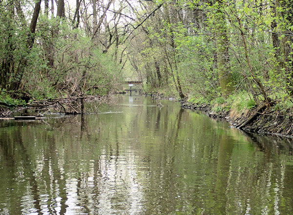 Před hranicemi