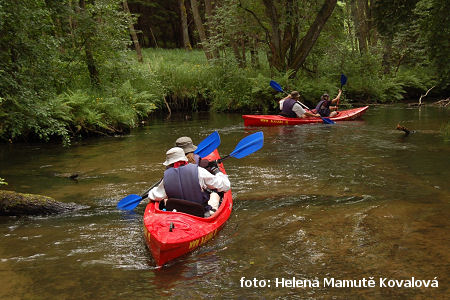 Meandry pod Suleczynem Meandry pod Suleczynem