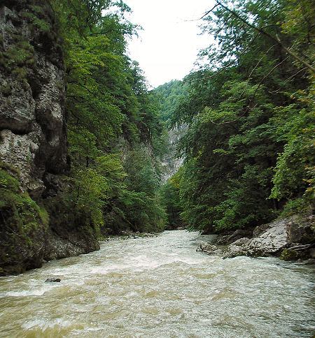 Souteska Erlaufu Souteska Erlaufu