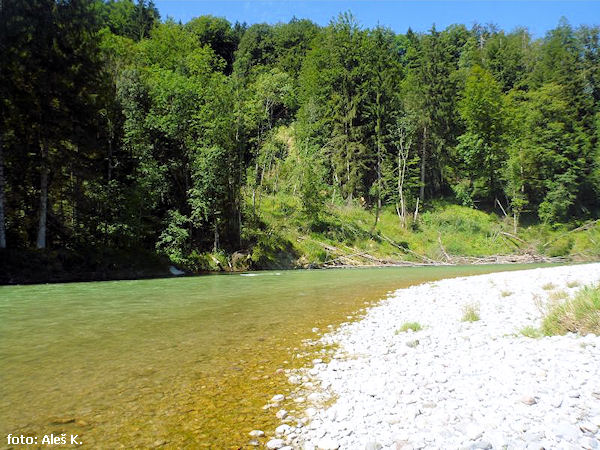 Isar pod Bad Tölz