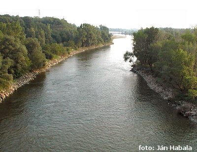 Váh od Dolných Zeleníc Váh od Dolných Zeleníc