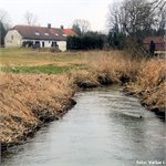 Pojednání (nejen) o Kozském potoce