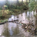 Tam, kam nikdo nejezdí – Výrovka pod Kouřimí