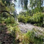 Rybí přechod u jezu Untersteinbach 