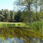 Polská Brda - vodácká dovolená trochu jinak