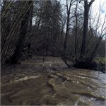 Pod Českou Metují, stav: 78 cm, 6.15 m3/s na vodočtu v Maršově 